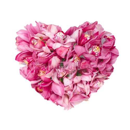 Flowers Love