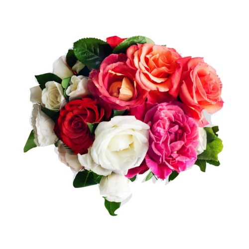RosaS Sunshine