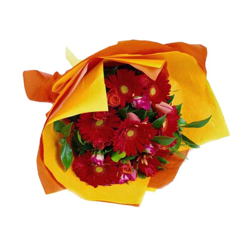 Gerbera Bunch
