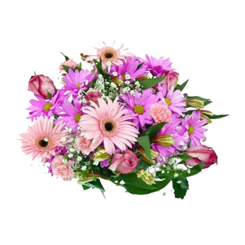 Gerberas Wonderful