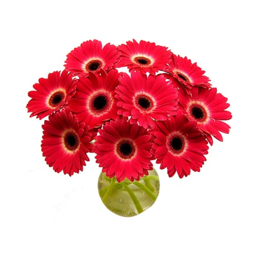 Love In The Red Colour