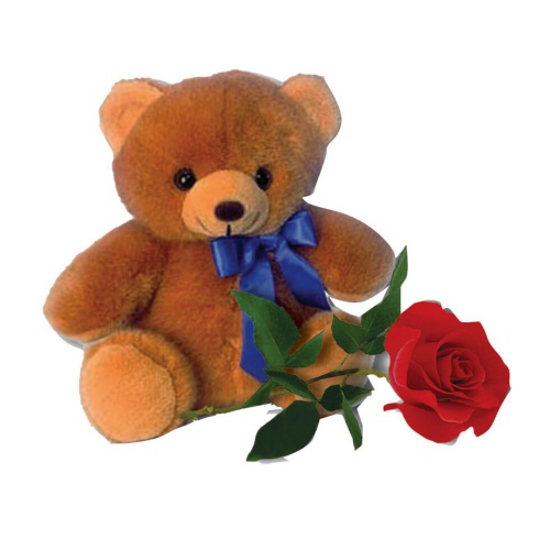 Teddy Rose Protagonist