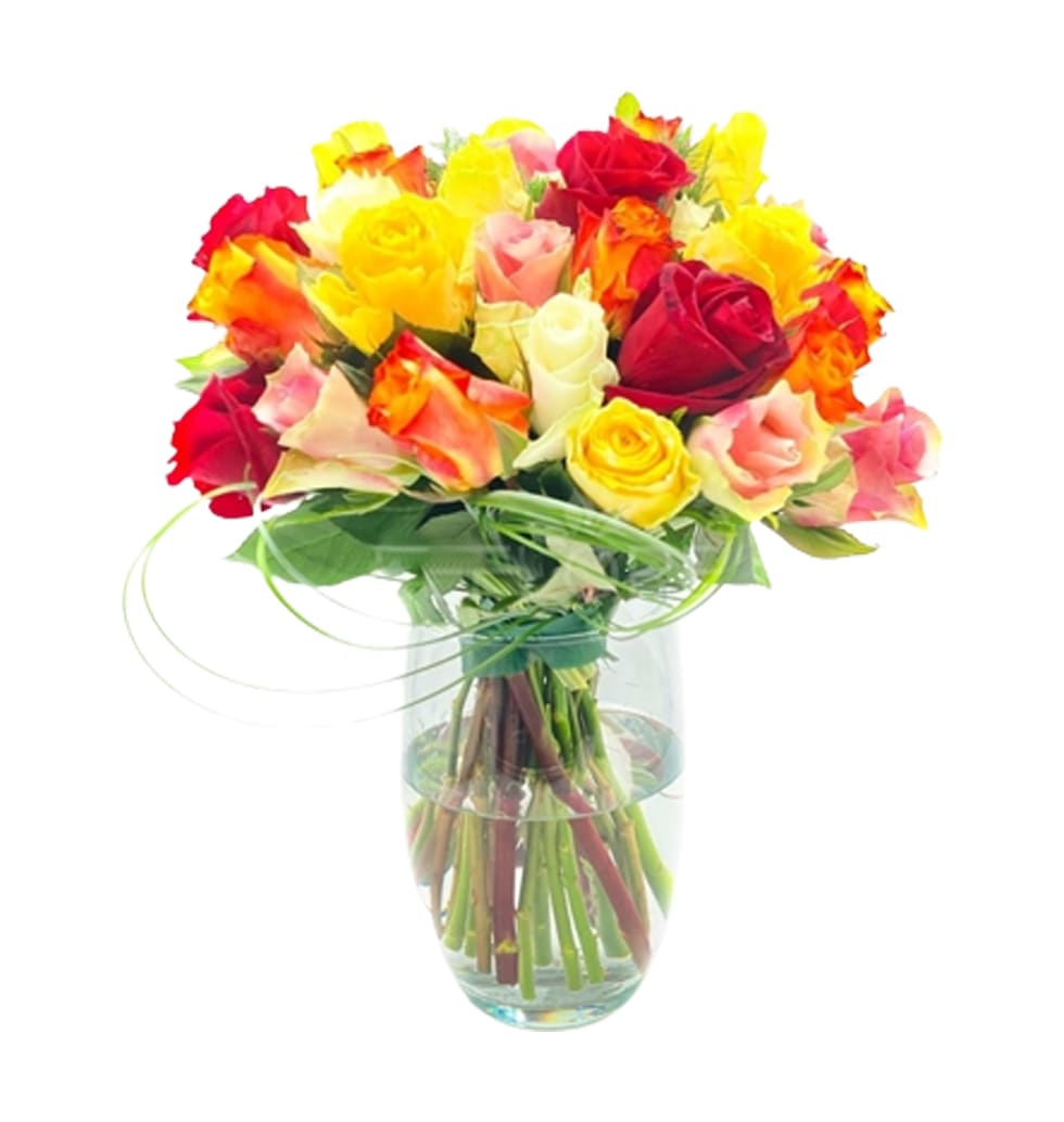 Multicolored Roses