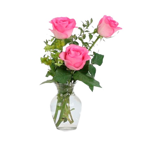 This fresh flowers vase of pink roses arrangement ......  to Baia