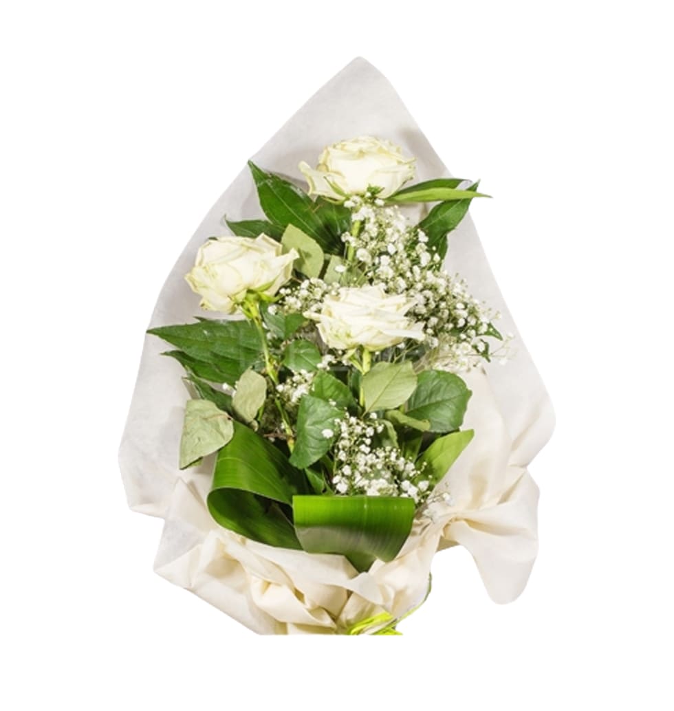 These delicate white roses are presented in a stun......  to Pozzuoli