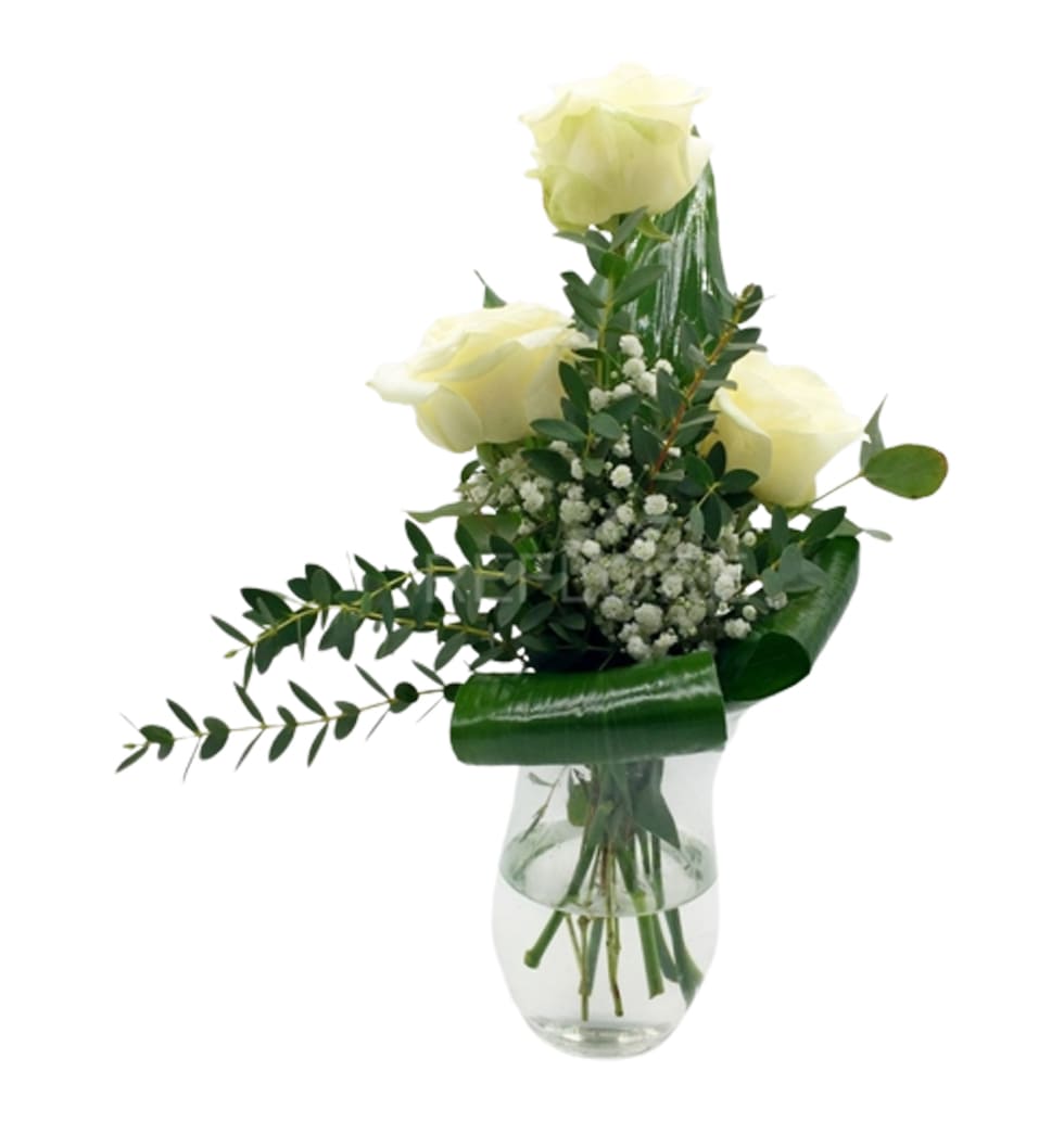 Roses are the innate blooms endowed by nature that......  to Messina