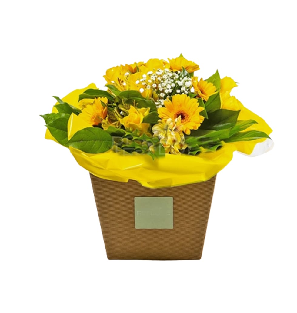Flowers are a fail-safe gift option whenever you a......  to Trieste