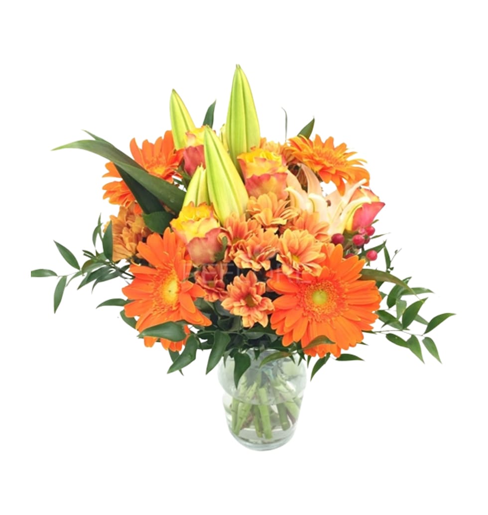 A vivacious and colourful arrangement, ideal for c......  to Parma