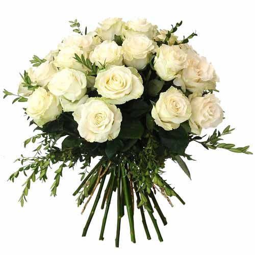 Modern 24 Pure White Roses