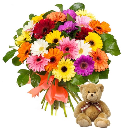 Dazzling Gerberas with Teddy Bear