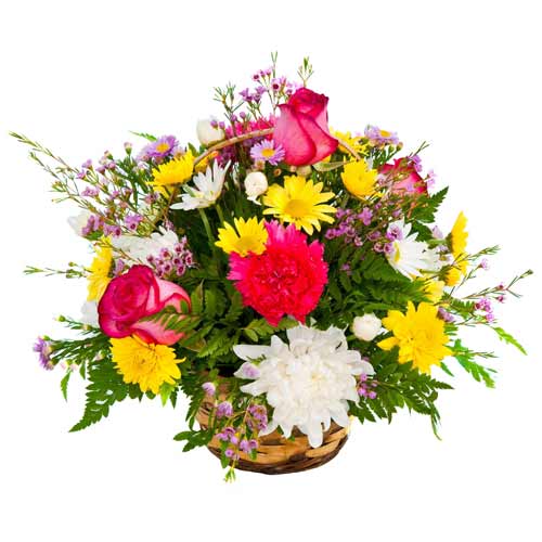 Greet your dear ones with this Exotic Seasonal Flower Basket and make them feel ...