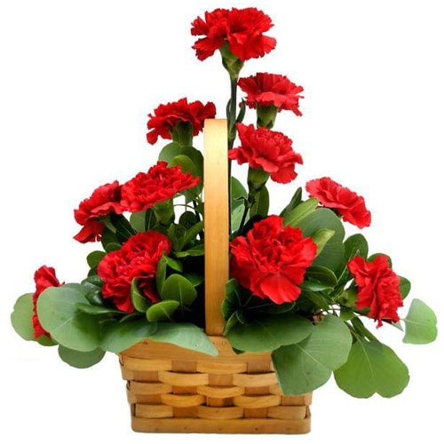 12 Vibrant Red Carnations with Basket