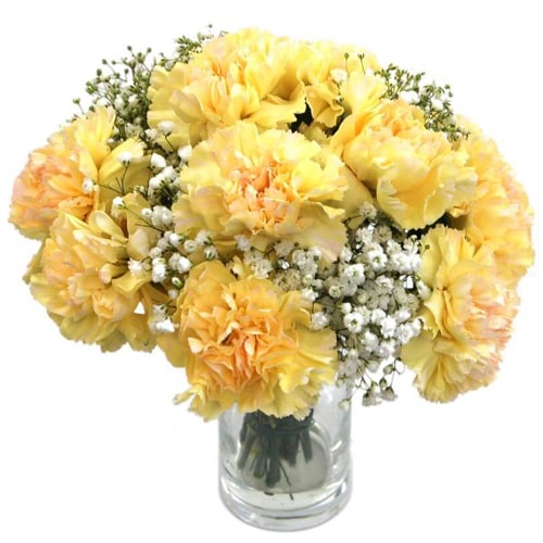 Enchanting Colorful Wishes 12 Yellow Carnations in a Vase