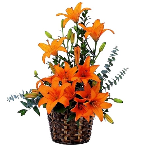 Enchanting Lilies in a Basket