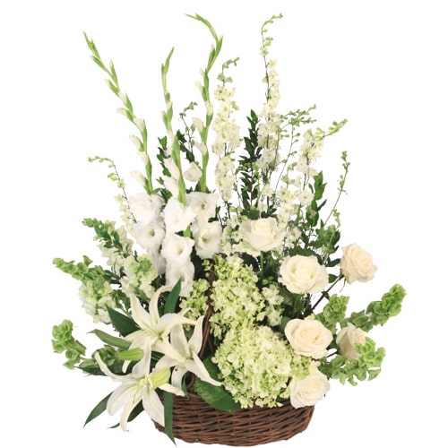 Charming White Flowers Blooming in Style