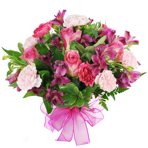 Breathtaking Pink Seasonal Flowers with Silent Whispers