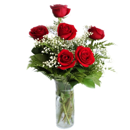 Captivating 6 Red Roses with Vase 