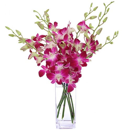 Seasonal Forever in Love Mixed Orchid Blooms