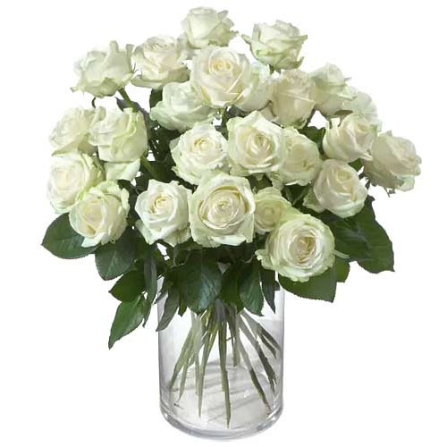 Tropical Heart of Love 24 White Roses