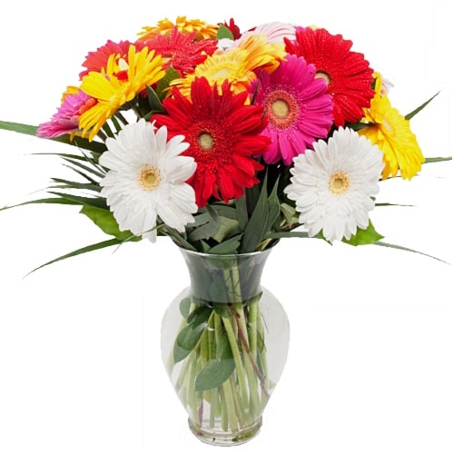 Eye-Catching Multicolor Gerberas with a Vase 