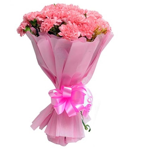 Lovely 12 Fresh Pink Carnations