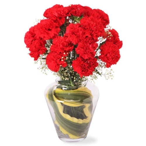 Regal One Dozen Red Carnations in a Vase
