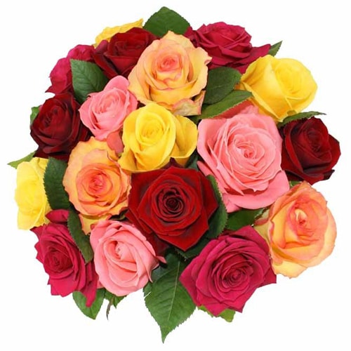 Blushing Love with Care Mixed Roses Arrangement