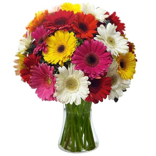 Charming Pink and White Gerberas and Fresh Seasonal Flowers in a Vase