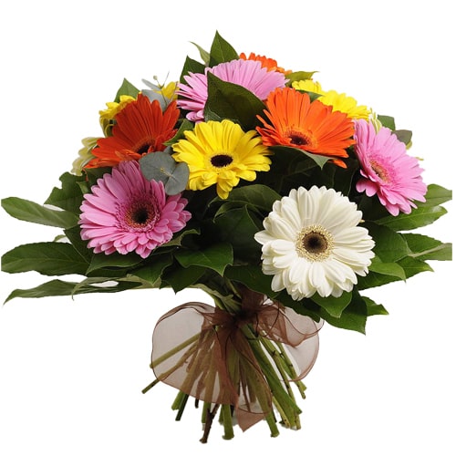 Spectacular 12 Mixed Gerbera Bouquet for Sweet Surprise