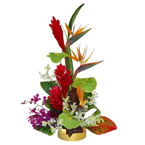 Add sweetness into your relationship by sending pe......  to Gunma