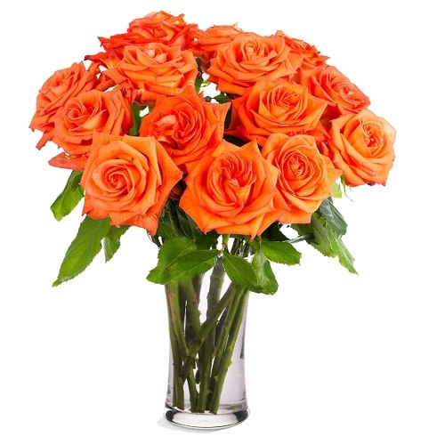 Extravagant Brighten the Day 12 Orange Roses in a Vase