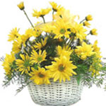 A lovely basket of assorted flowers - stargazer lilies, carnations, gerberas, ch...