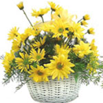 A lovely basket of assorted flowers - stargazer li...