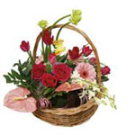 Basket Arrangement 