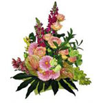 An imaginative flower arrangement that will bring lasting joy. ...