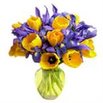 Mixed bouquet in yellow-blue colours