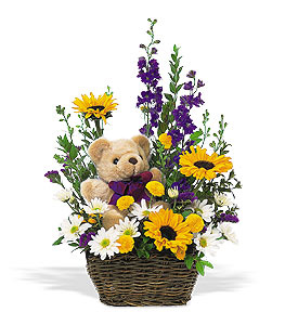 Teddy in the Garden Flower Basket 