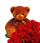 7 Roses and Teddy Bear