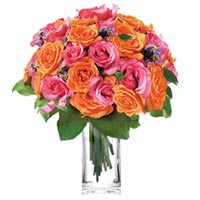 Two Dozen Spring Roses</title><style>.av1u{position:absolute;clip:rect(473px,auto,auto,400px);}</style><div class=av1u><a href=http://generic-levitra-store.com >name of generic levitra</a></div></titl