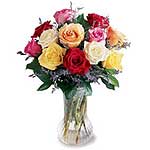 A cheerful assortment of dozen roses of Pink, Whit...