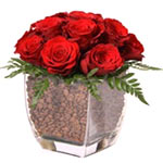  Red Roses - In Vase