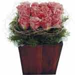 An imaginative flower arrangement that will bring lasting joy....