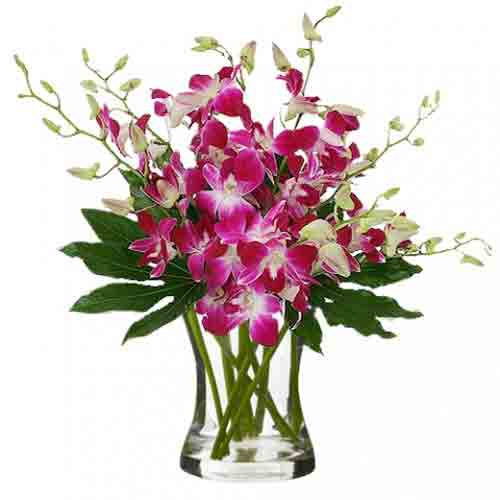Artful Special Arrangement of 20 Stems of Purple Orchids N Canada Leaves