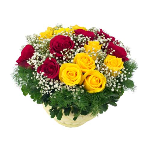 Breathtaking Selection of Multi Colored Roses in a Vase