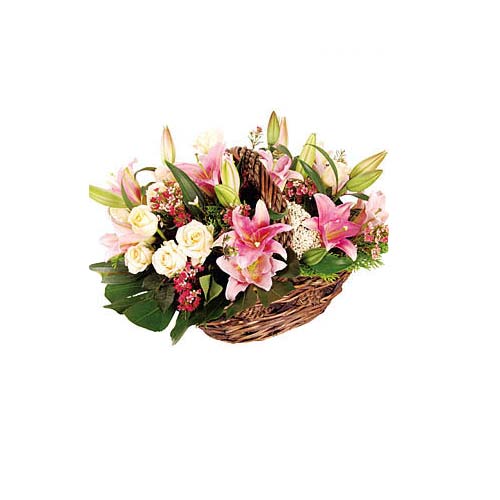 Send to your loved ones, this Ornamental Bright Sensation Flowering Selection wh...