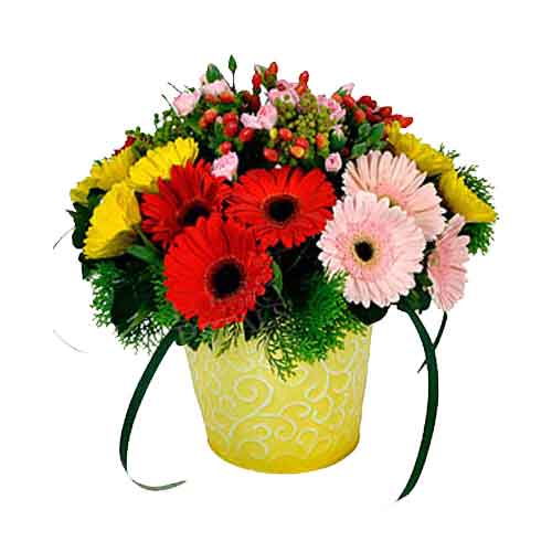 Fashionable Splash of Happiness Gerberas in a Pot