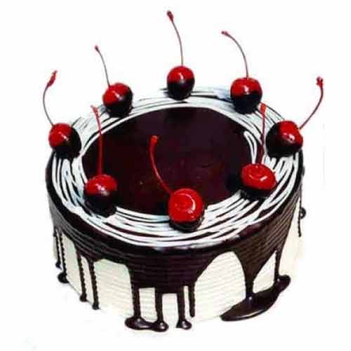 Ecstatic Dark Chocoholic Cake with Plenty of Cherry