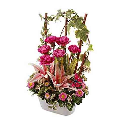 Sensational Floral Arrangement of Stargazer Lilies and Carnations