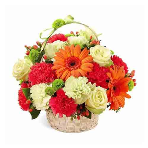 Radiant Embracing Love Carnations Basket<br>