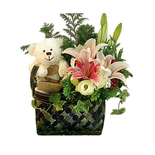 Make someone happy with an adorable Russ Rolly Bear 11, Stargazers and a box of ...